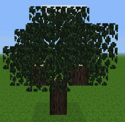 File:Tree pic.png