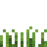 File:Grass 3.png