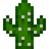 File:Large Cactus Seedling.png