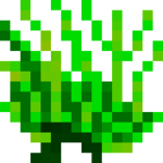 Green Coral.png