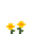 Yellow Dandelion.png